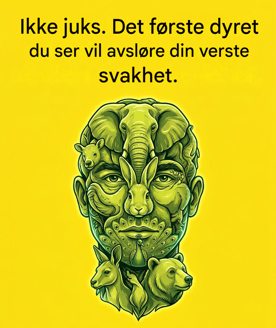 Hva ditt første blikk på et bilde av skjulte dyr sier om deg (og hvorfor det resonnerer så mye med deg)