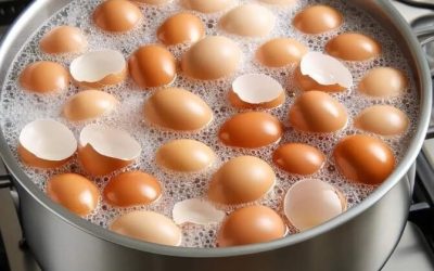 Slutt å kaste dem. Kok eggeskall og si farvel til… Vis mer